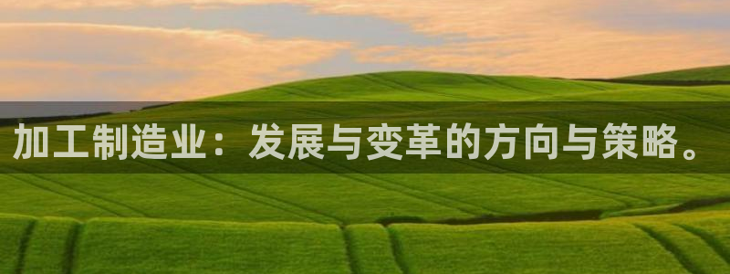 万事达娱乐高善良