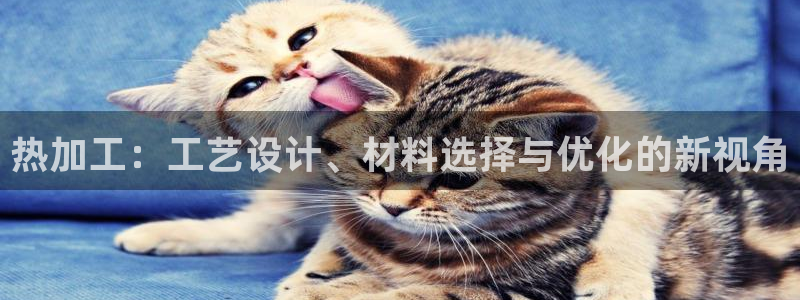 万事娱乐注册平台官网